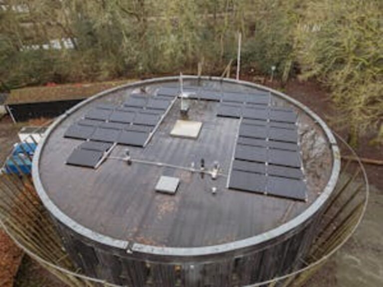 Desert-Proof Your System: How Military-Grade Solar Controllers Withstand 60°C Heat