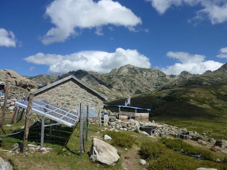 Why Your Home Needs a Modern Solar Charge Controller Now
